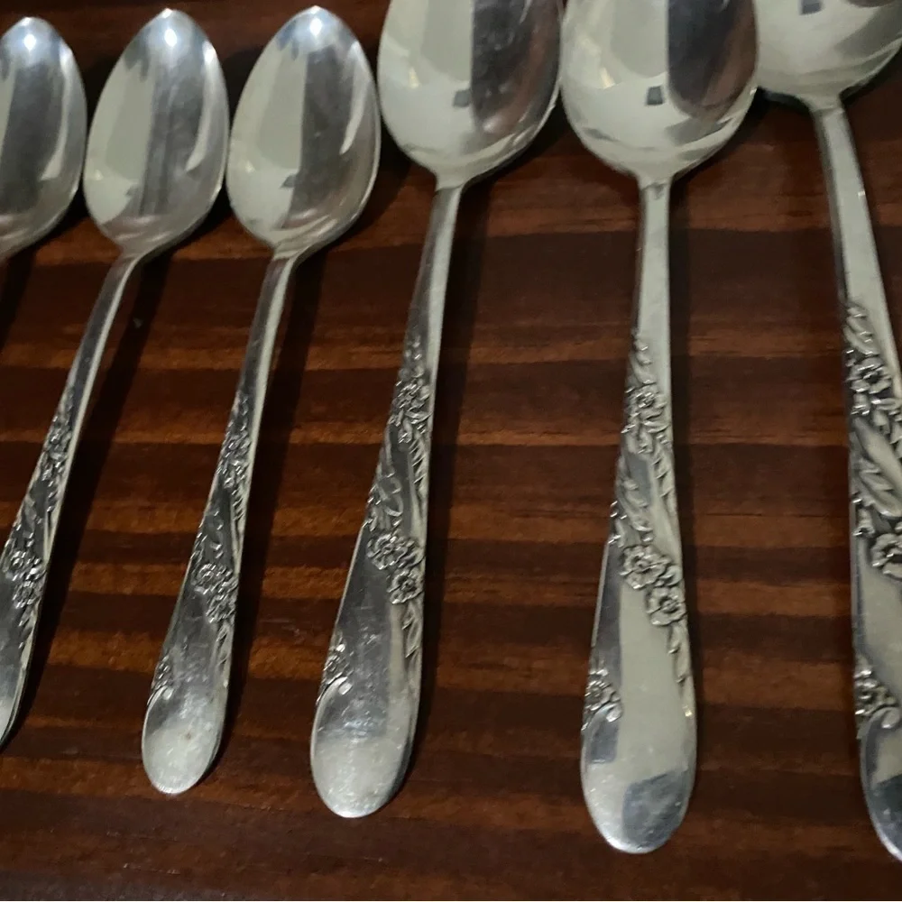 VTG 17 Piece 1950 Oneida Tudor Plate Community Bridal Wreath Floral Pattern